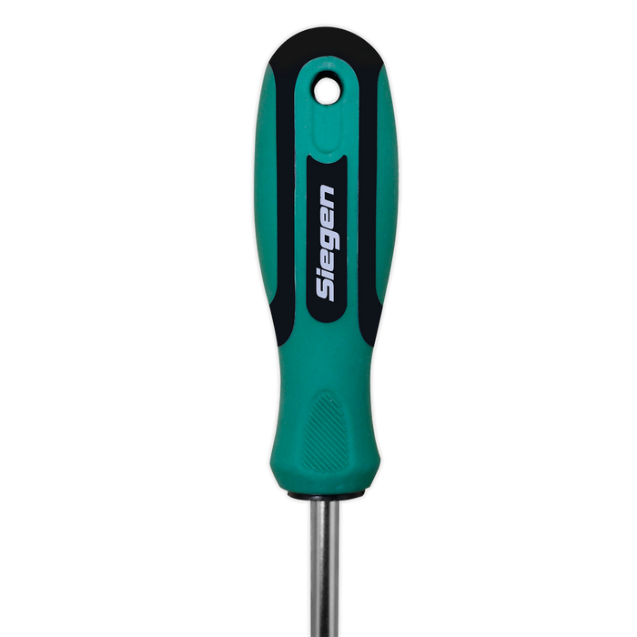 Siegen Pozi Screwdriver #2 x 100mm | S01186