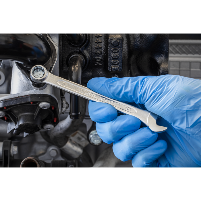 Siegen Combination Spanner 10mm | S0410