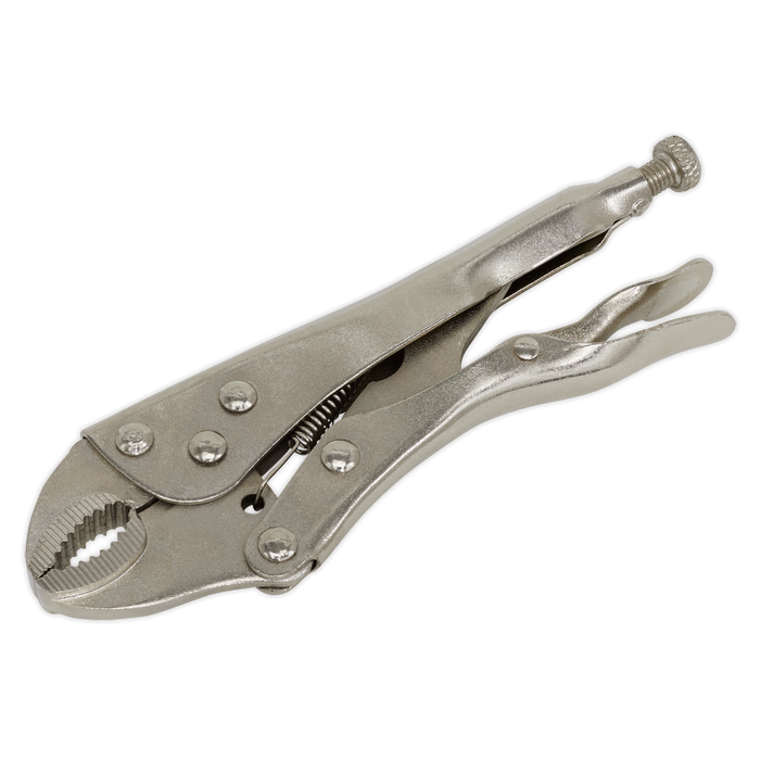 Siegen Locking Pliers 175mm | S0486