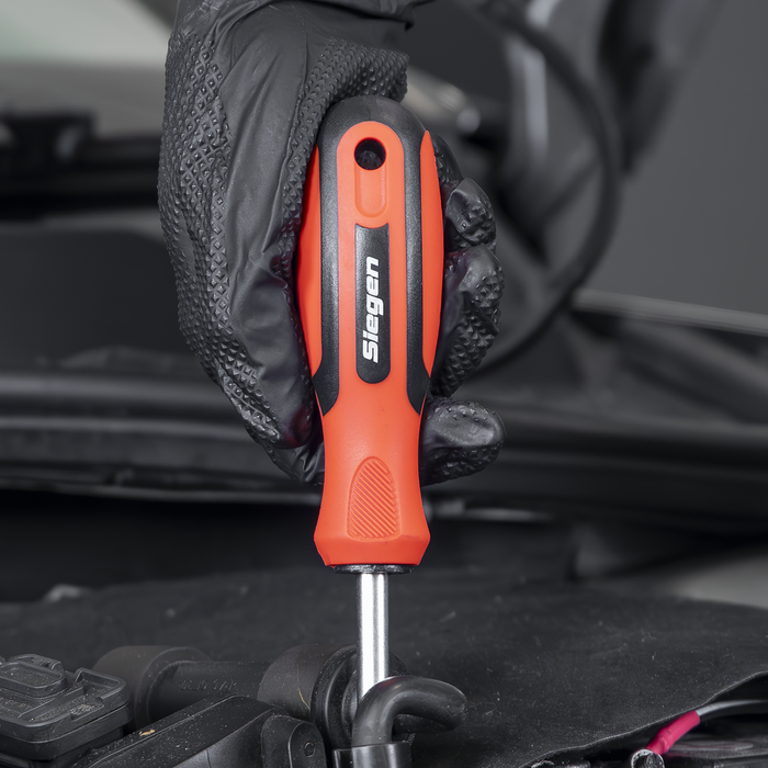 Siegen Screwdriver Set 21pc | S0923