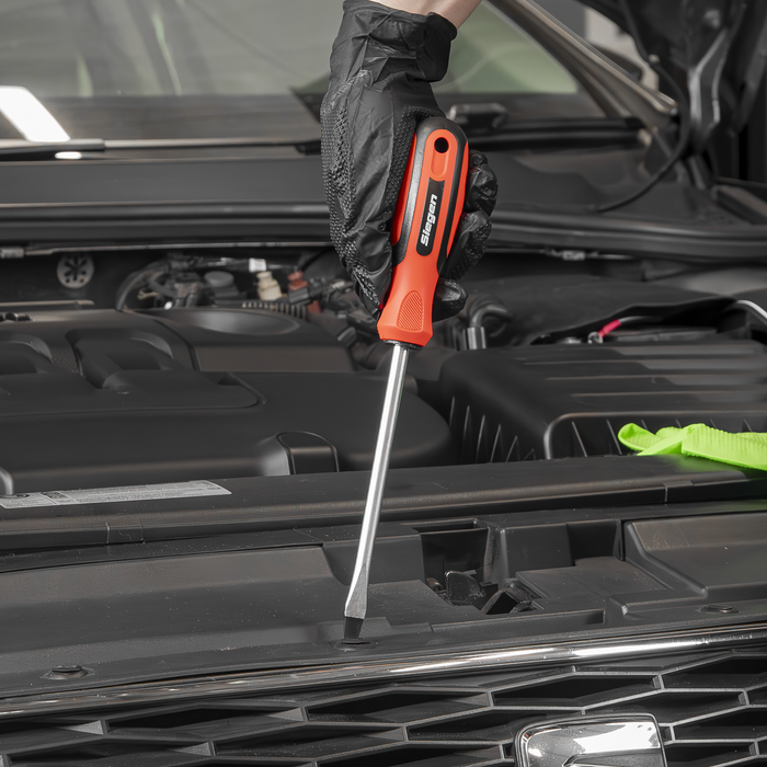 Siegen Screwdriver Set 21pc | S0923