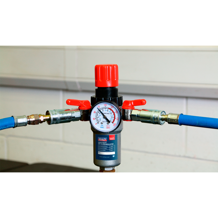 Heavy-Duty Air Filter/Regulator | SA2FR