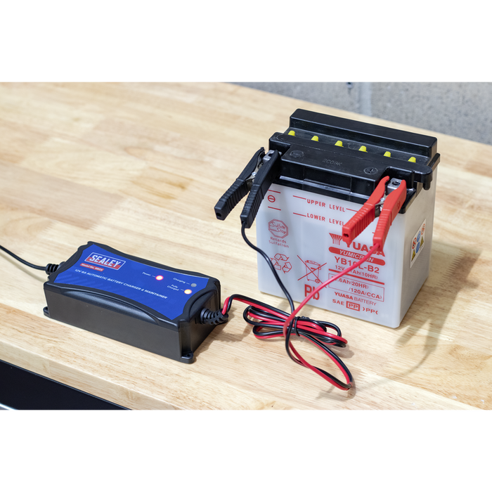 12V Fully Automatic Battery Maintainer/Charger 6A | SBC6