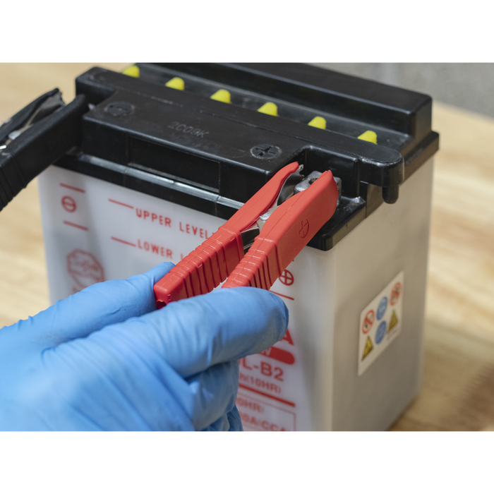 12V Fully Automatic Battery Maintainer/Charger 6A | SBC6