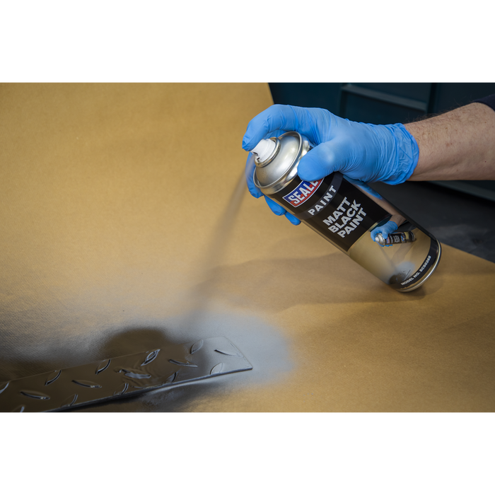 Matt Paint 500ml - Black | SCS026S
