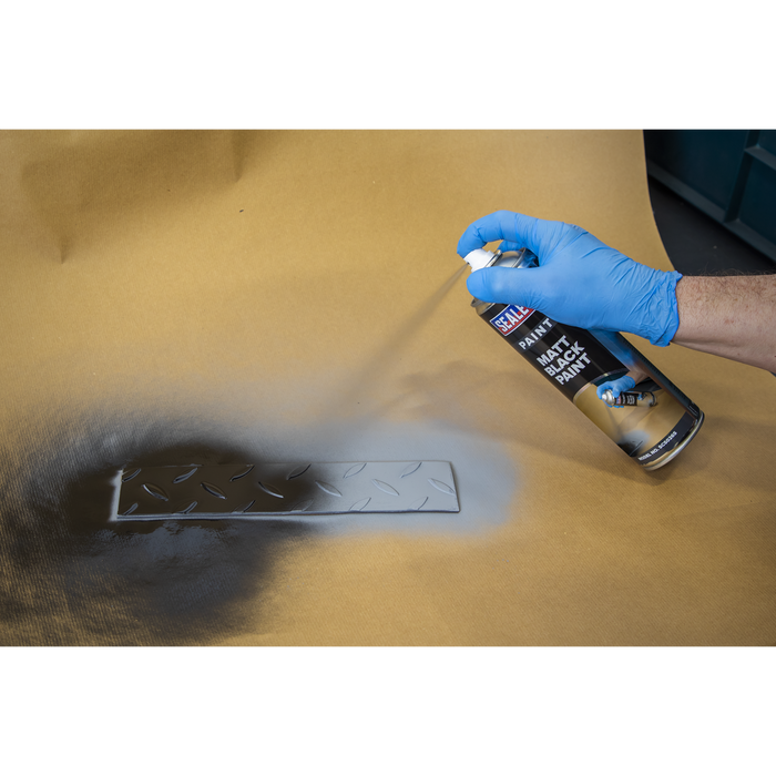 Matt Paint 500ml - Black | SCS026S