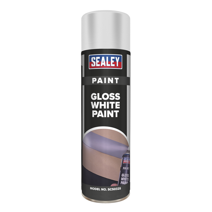 Gloss Paint 500ml - White | SCS032S