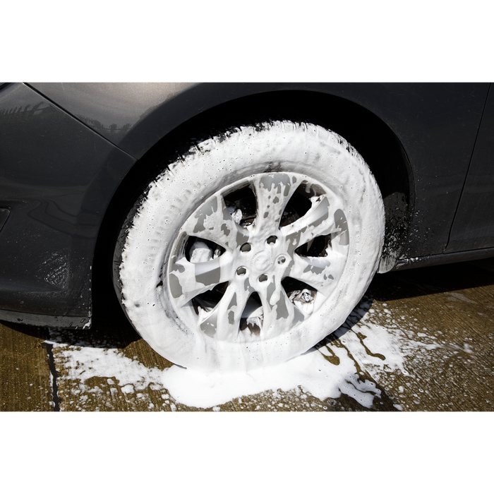 Whiteout Detailing Snow Foam 5L | SCS090