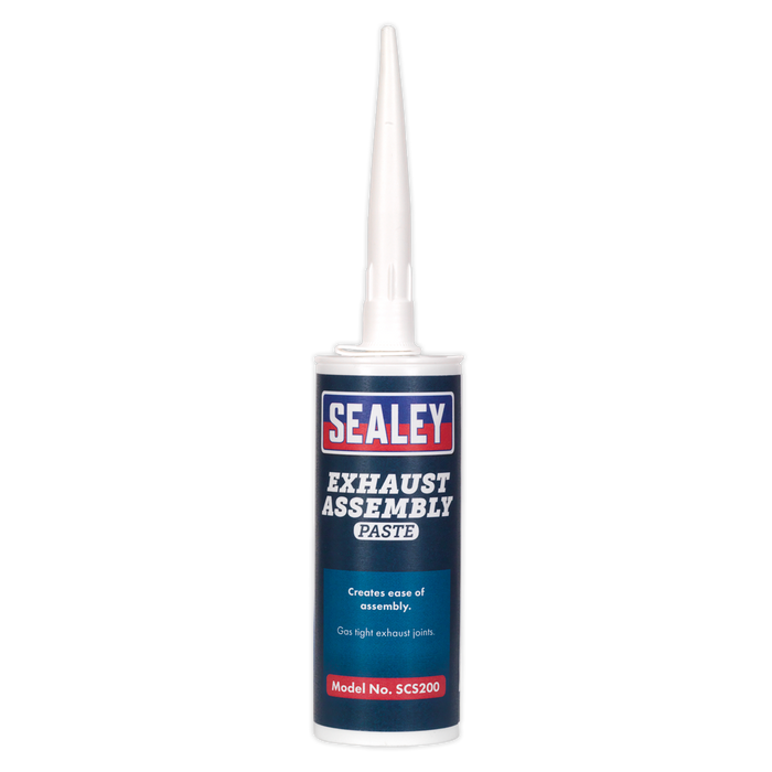 Exhaust Assembly Paste 300g | SCS200