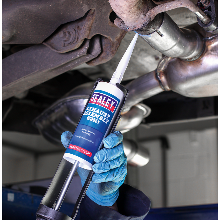 Exhaust Assembly Paste 300g | SCS200