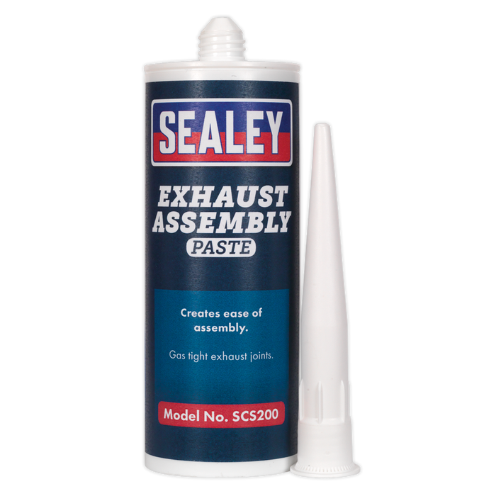Exhaust Assembly Paste 300g | SCS200