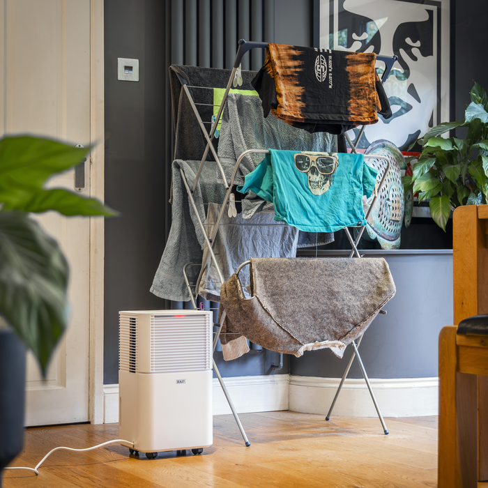 Dehumidifier with Laundry Mode 10L | SDH102