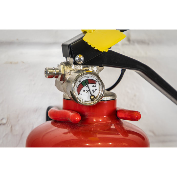 Dry Powder Fire Extinguisher 1kg | SDPE01