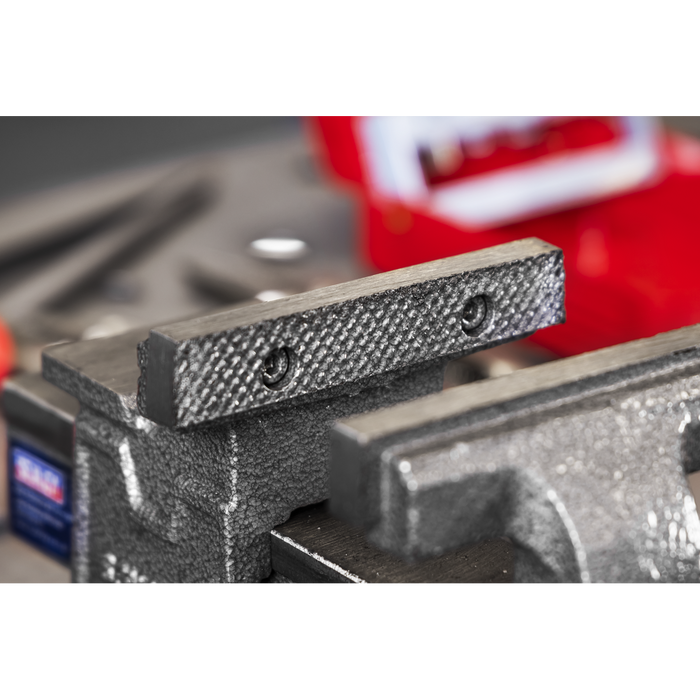 100mm SG Iron Vice with Swivel Base | SGV100L