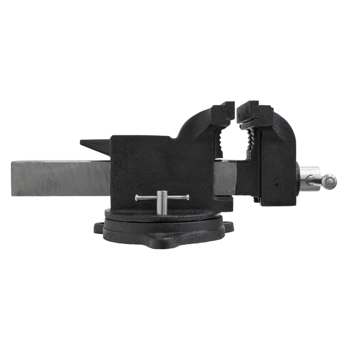 SG Iron Industrial Vice with Swivel Base 200mm | SGV200