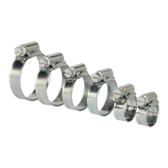 Zinc Plated Hose Clip Assortment 8-29mm 30pc | SHCS1