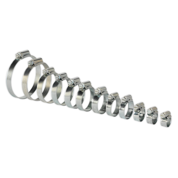 Zinc Plated Hose Clip Assortment 8-57mm 85pc | SHCS3
