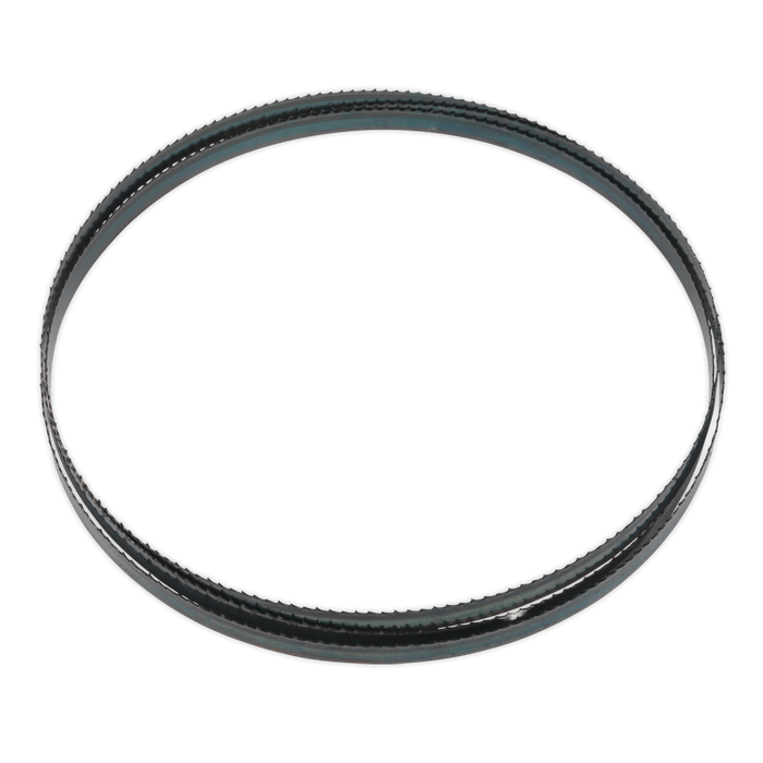 6tpi Bandsaw Blade 2400 x 12 x 0.6mm | SM1306B06