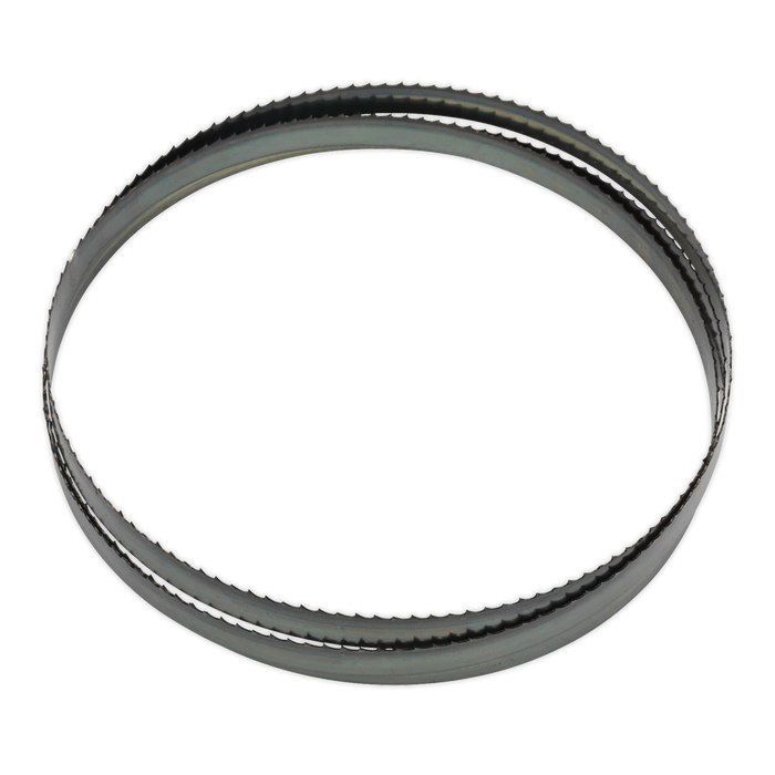 4tpi Skip Tooth Bandsaw Blade 2362 x 19 x 0.81mm | SM35/B04