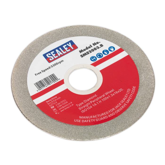 Diamond Coated Grinding Disc for SMS2003 100mm | SMS2003.B