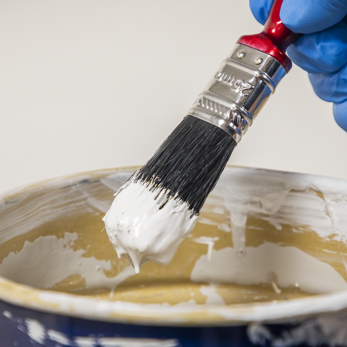 Pure Bristle Paint Brush 25mm - Pack of 10 | SPB25S