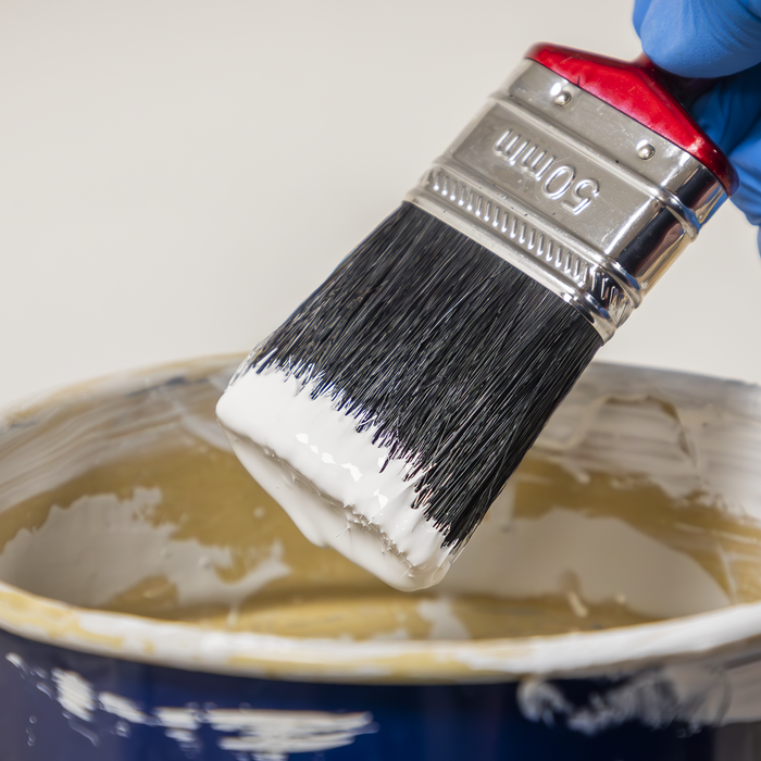 Pure Bristle Paint Brush 50mm - Pack of 10 | SPB50S