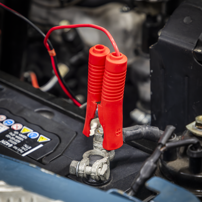 Premier Fully Automatic Battery Charger & Maintainer 8A | SPBC8