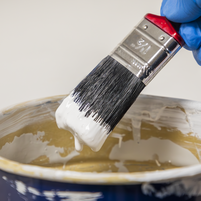 Pure Bristle Paint Brush Set 9pc | SPBS9