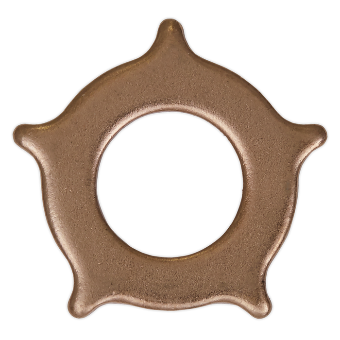 Star Washer for SR2000 - Pack of 10 | SR2000.SW