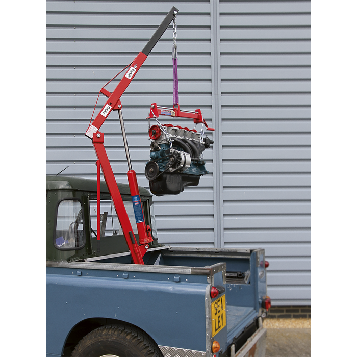 Static Mounted Crane 750kg | SSC750