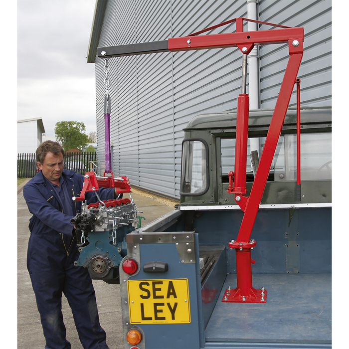 Static Mounted Crane 750kg | SSC750