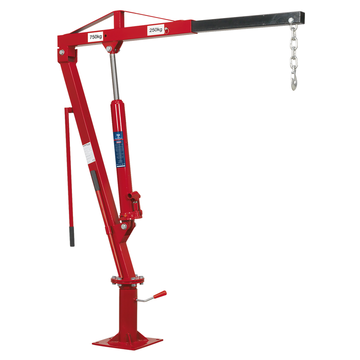 Static Mounted Crane 750kg | SSC750