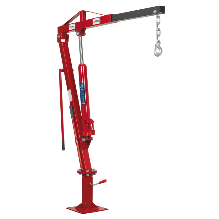 Static Mounted Crane 750kg | SSC750