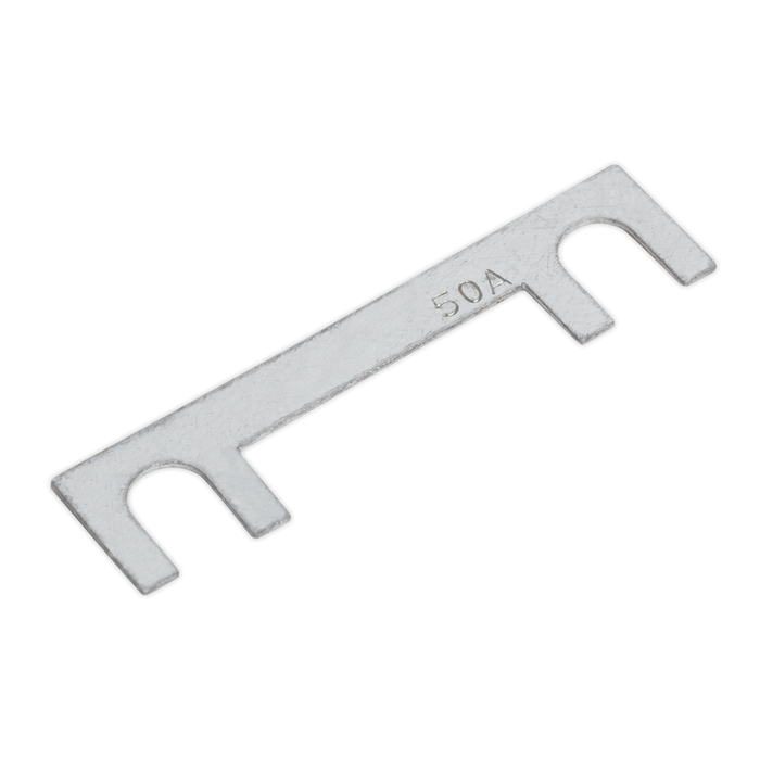 Fuse 50Amp 40 x 10mm | START180.F
