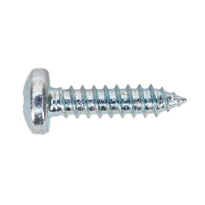 Zinc Plated Self-Tapping Pan Head Pozi Screw Assortment 305pc - DIN 798CZ | AB064STPP