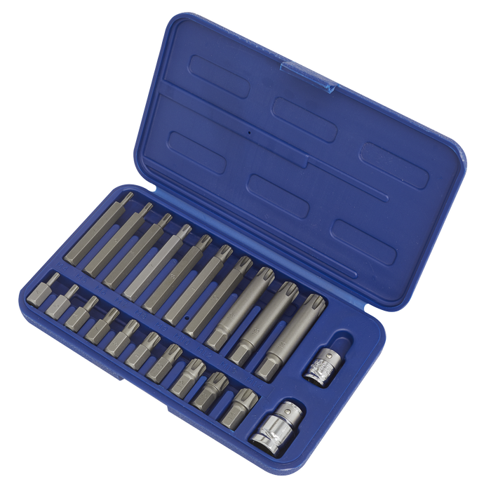Premier Ribe Bit Set 3/8" & 1/2"Sq Drive 22pc | SX105
