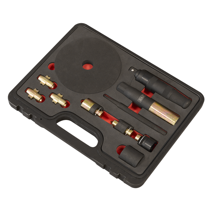 Master Locking Wheel Nut Removal Set | SX299