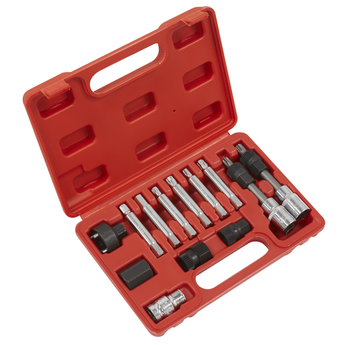 Alternator Freewheel Removal Set 13pc | SX401