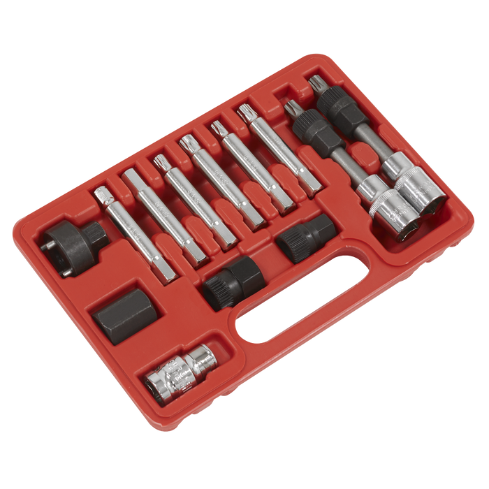 Alternator Freewheel Removal Set 13pc | SX401
