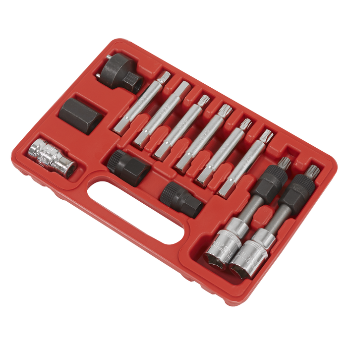 Alternator Freewheel Removal Set 13pc | SX401