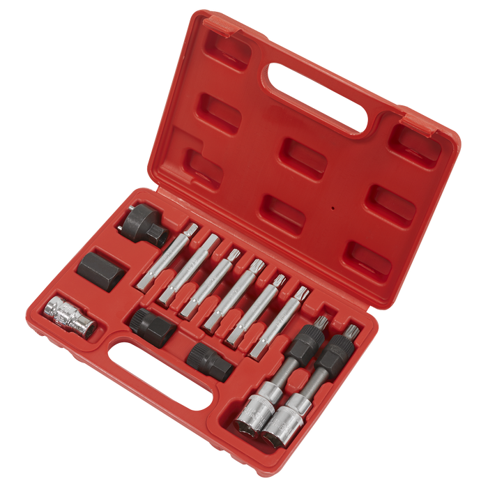 Alternator Freewheel Removal Set 13pc | SX401