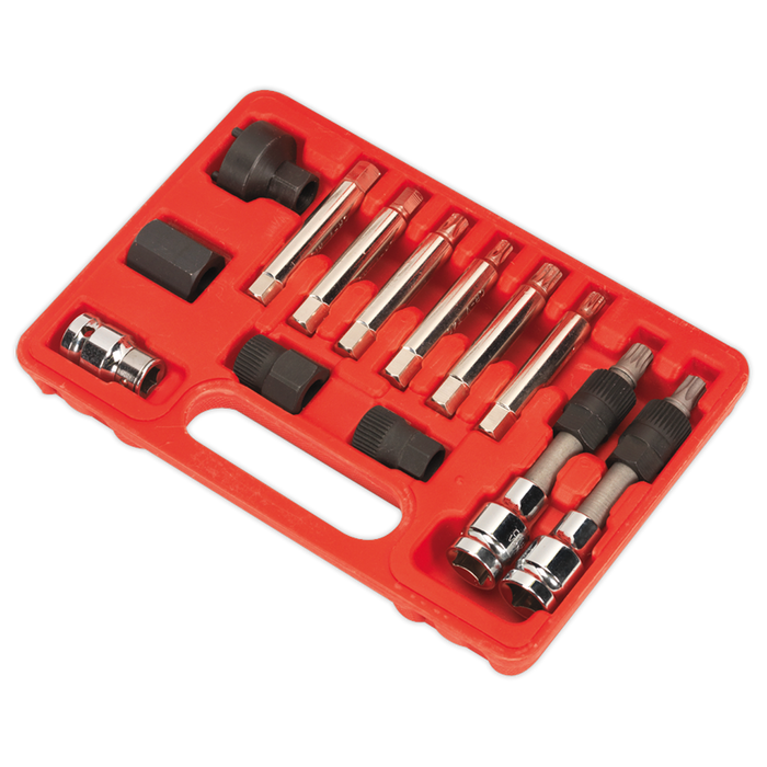 Alternator Freewheel Removal Set 13pc | SX401