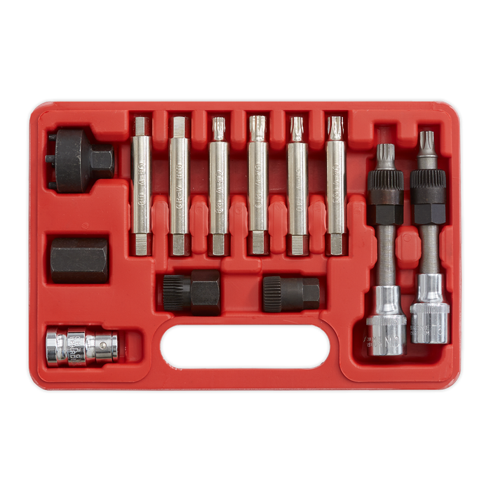 Alternator Freewheel Removal Set 13pc | SX401