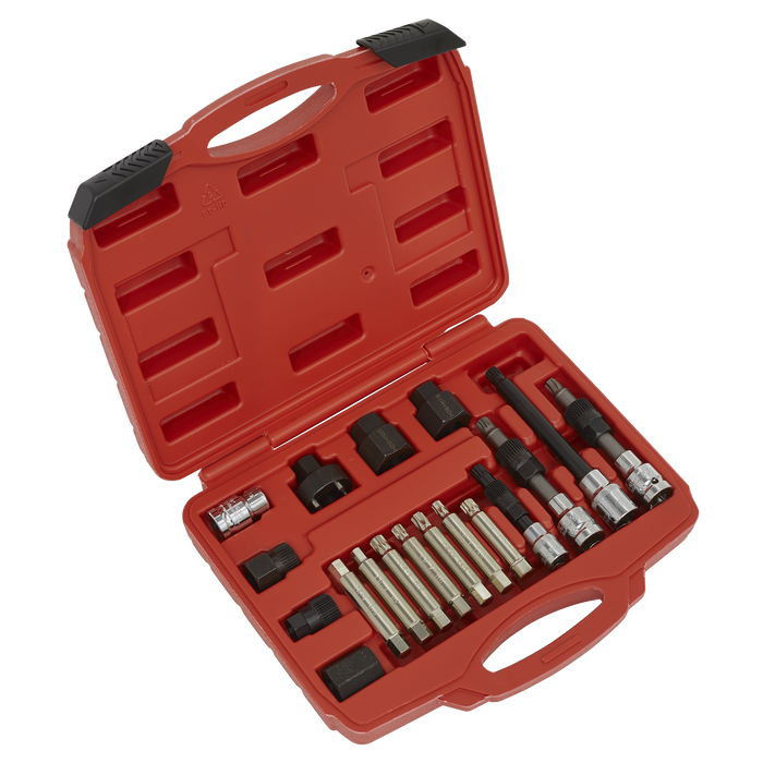 Alternator Freewheel Pulley Removal Set 18pc | SX402