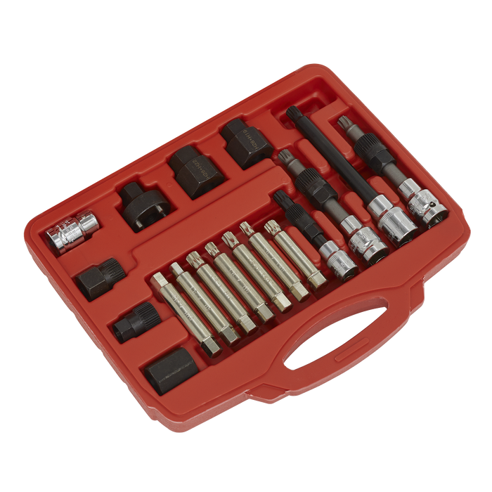 Alternator Freewheel Pulley Removal Set 18pc | SX402