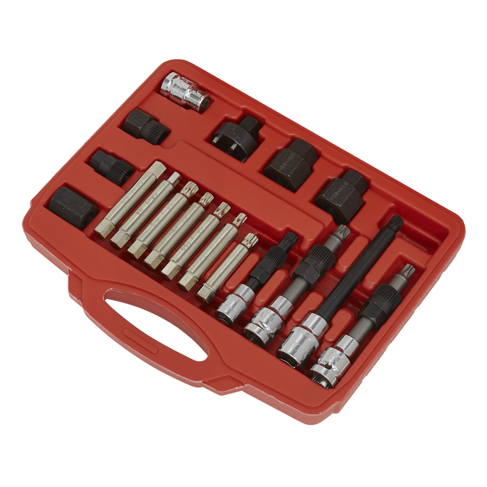 Alternator Freewheel Pulley Removal Set 18pc | SX402