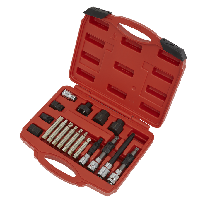 Alternator Freewheel Pulley Removal Set 18pc | SX402