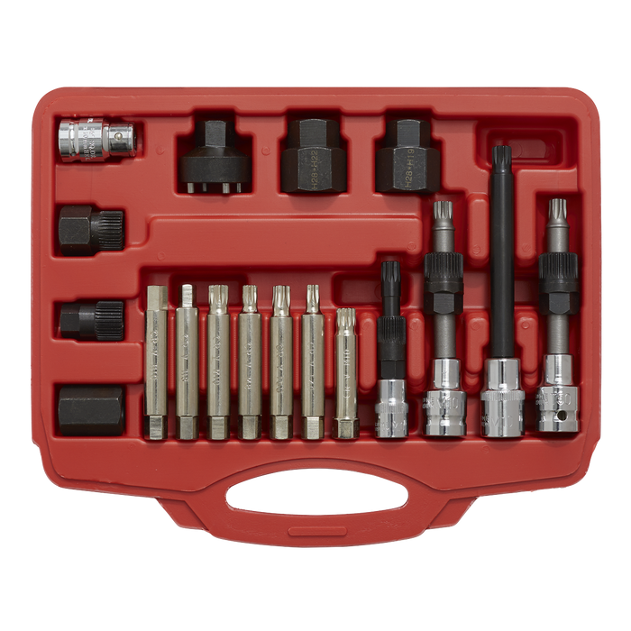 Alternator Freewheel Pulley Removal Set 18pc | SX402