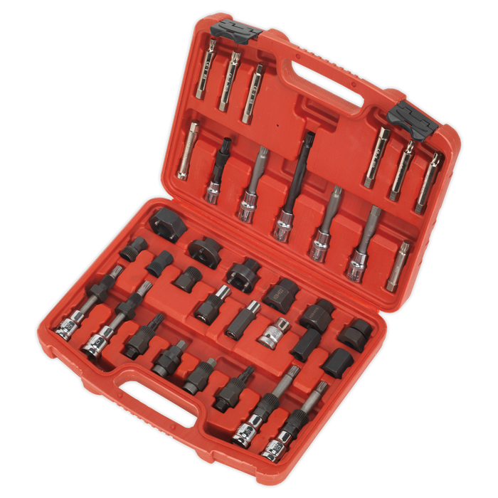 Alternator Freewheel Pulley Removal Set 35pc | SX404