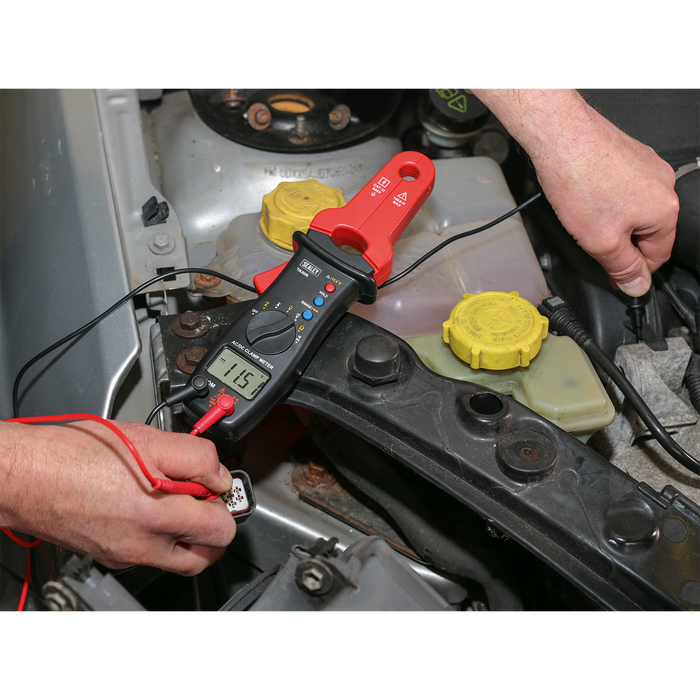 Clamp Meter & Multimeter AC/DC | TA305